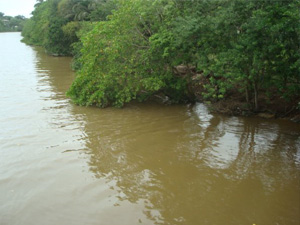 rio joanes 2